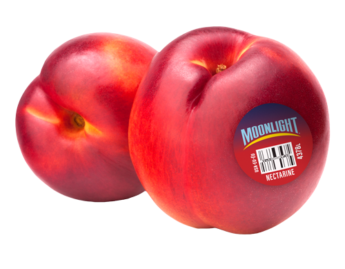 Fresh whole nectarine