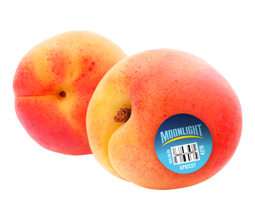 Apricots