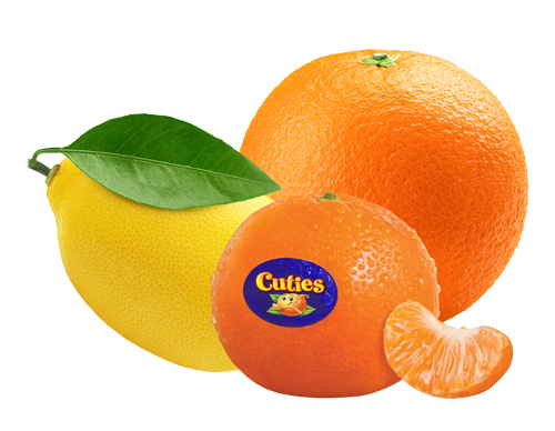 Citrus