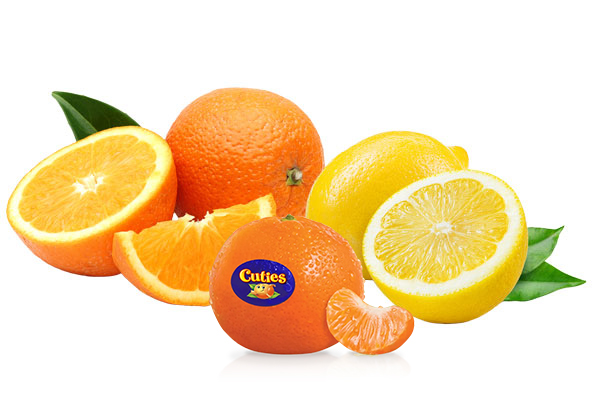 citrus-modal Oranges and Lemons
