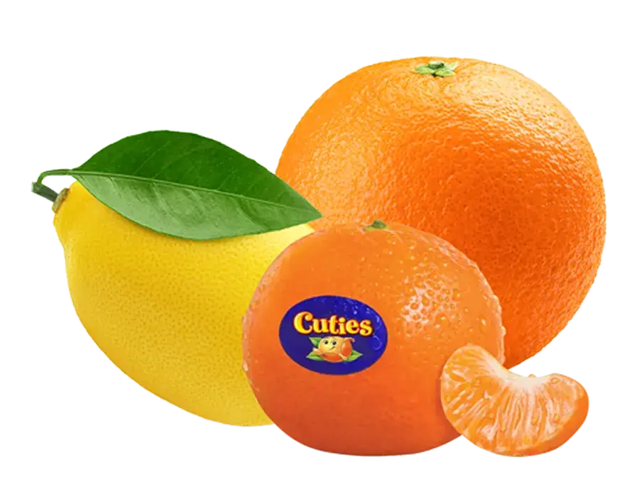 Lemon, orange, and Cuties mandarin